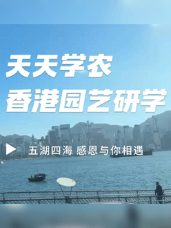 与香港园艺学会联合举办香港园艺研学，专业园境师带队讲解。