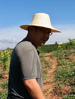 农业人叶涛，50多岁通讯人跨界搞农业，他要用1000万打造一个梦。