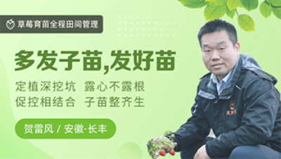 多发子苗，发好苗